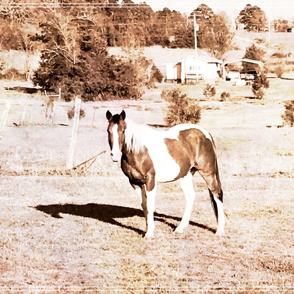 Jesus*Fashion*Beauty* - Picture 1 of 1